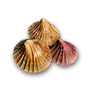 Silk Mollusk