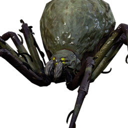 Weald Spider