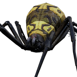 Toximaw Spider