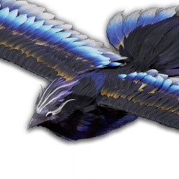 Storm Raven